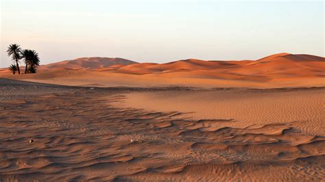 How hot is Sahara desert?