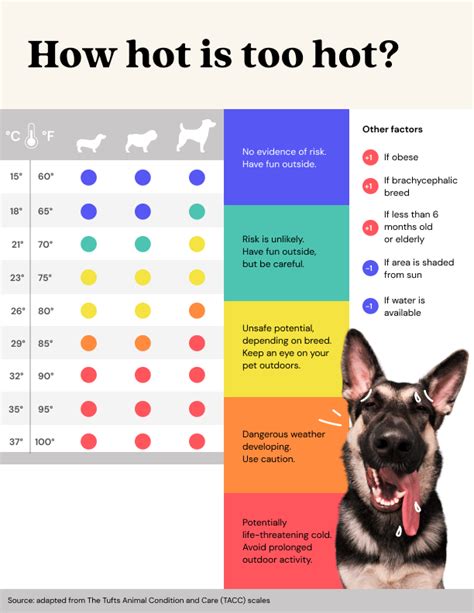 How hot is too hot for a dog inside?