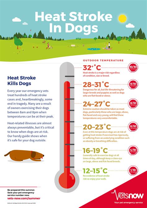 How hot is unsafe to walk dog?