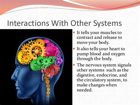 How human mind and body interact with each other?