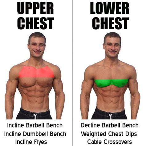 How important is a big chest?