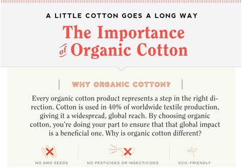 How important is ethics and sustainability to the cotton on group?