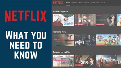 How is Netflix working?