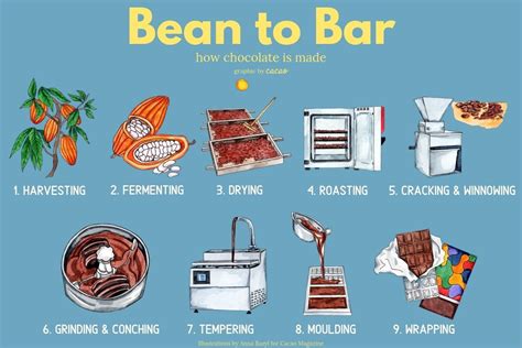 How is chocolate made?