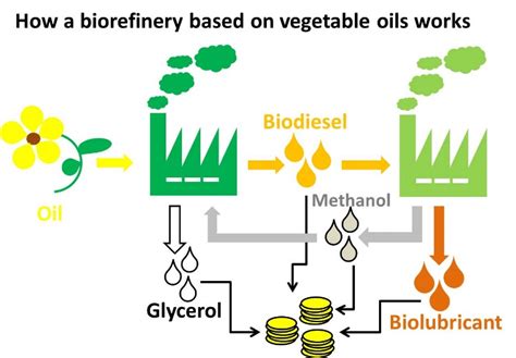 How is cooking oil turned into biodiesel?