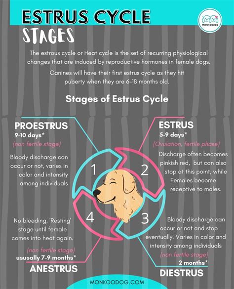 How is estrus detected in female domestic animals?