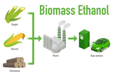 How is food converted to biofuel?