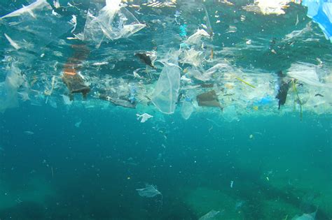 How is hard plastic bad for the environment?