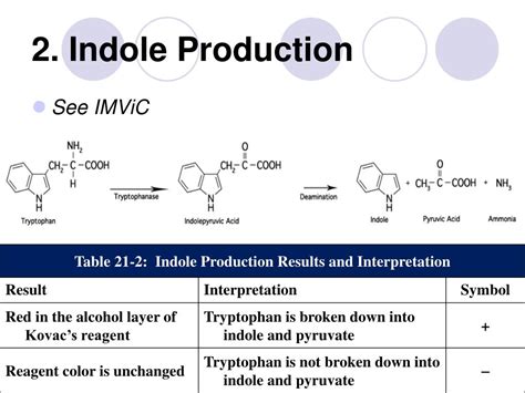 How is indole produced in SIM?