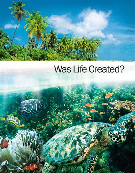 How is life created?