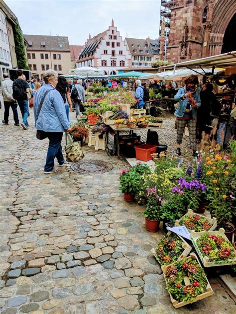 How is life in Freiburg?