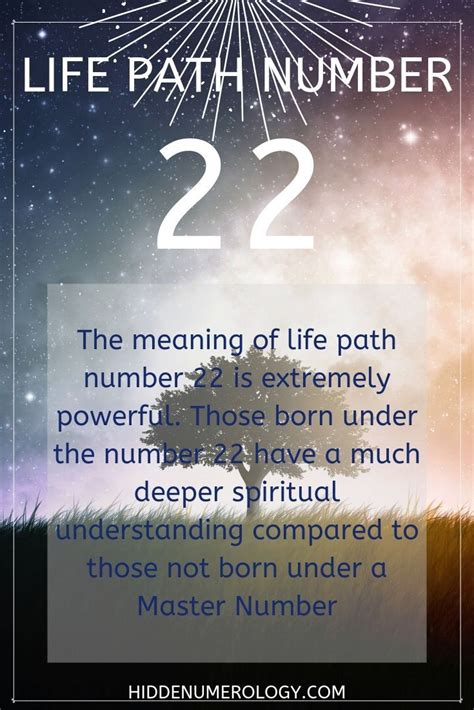 How is life path number 22?