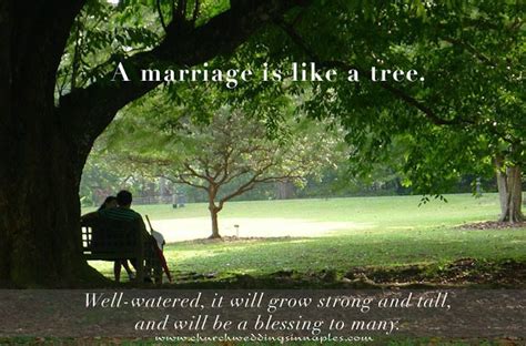 How is marriage like a tree?