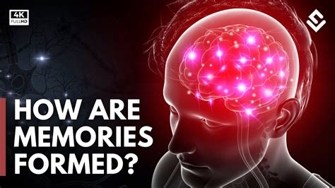How is memory actually stored?