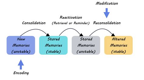 How is memory formed?