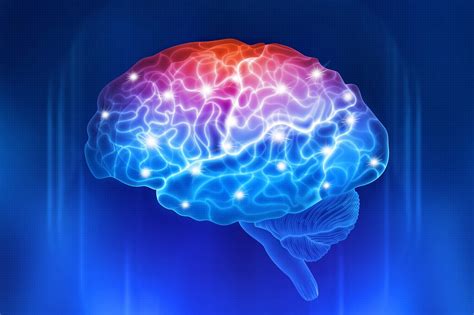 How is memory in brain?
