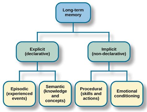 How is memory stored psychology?