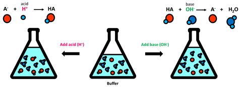 How is milk a buffer?