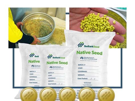 How is seed quality measured?