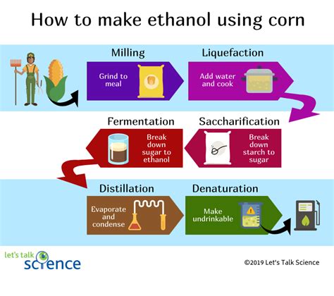 How is sugar turned into ethanol?