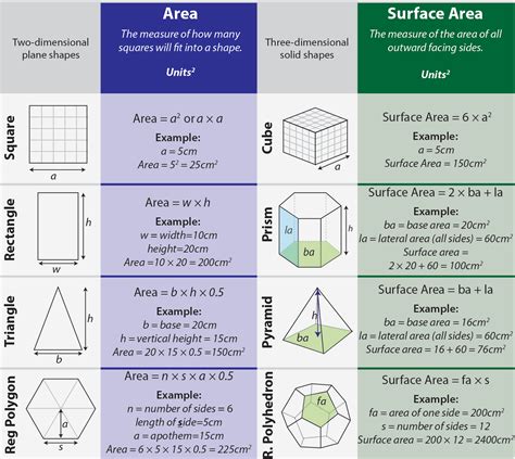 How is surface area important?