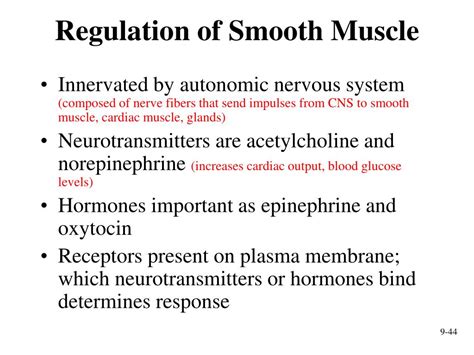 How is the smooth muscle regulated?