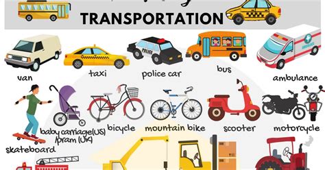 How is transportation done?