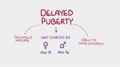 How late can puberty be delayed?