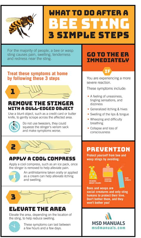 How long after a bee sting are you safe from anaphylaxis?