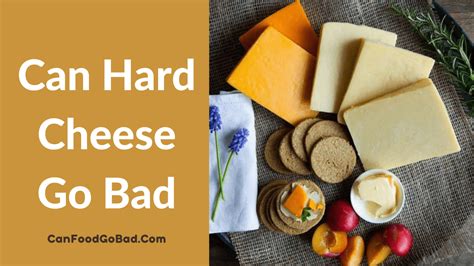 How long after cheese goes bad can you eat it?