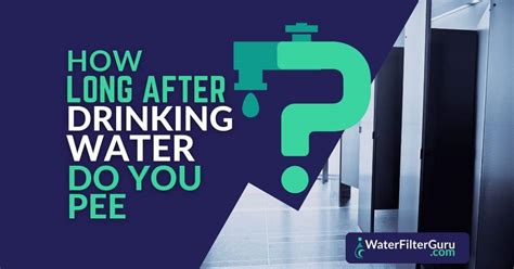 How long after drinking water do you pee?