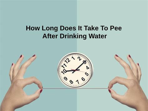 How long after drinking water does it take to pee?