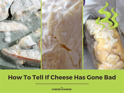 How long after eating bad cheese do you get sick?