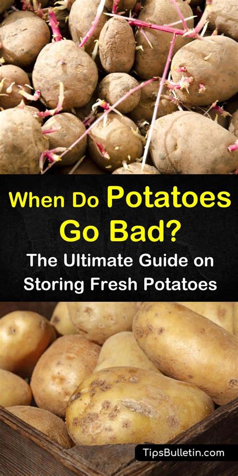 How long before potatoes go bad?