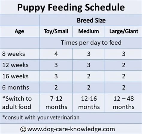 How long can 4 week old puppies go between feedings?