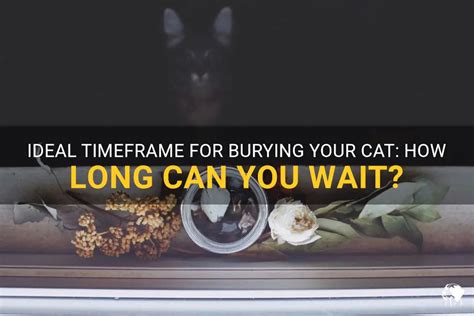 How long can I wait to bury my cat?