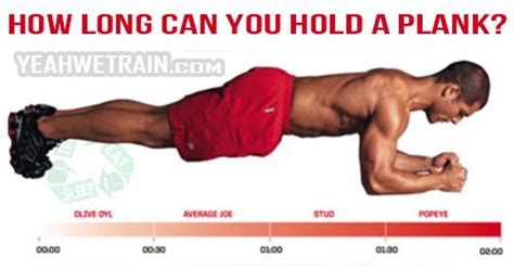 How long can a average person hold a plank?