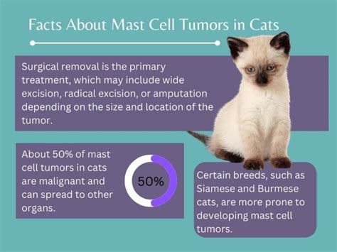 How long can a cat live with a mast cell tumor?