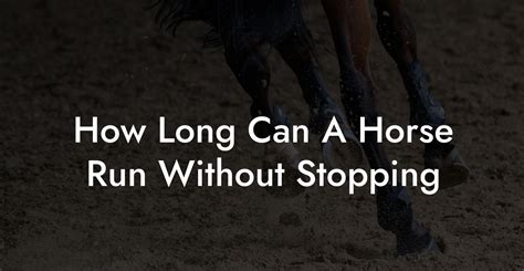 How long can a horse trot without stopping?