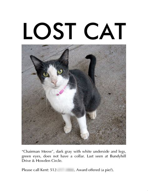 How long can a lost cat survive?