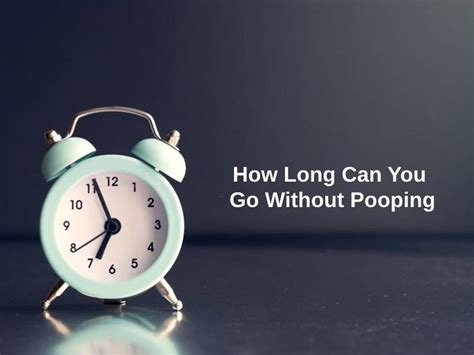 How long can a pig go without pooping?