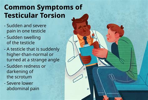 How long can a testicle survive torsion?