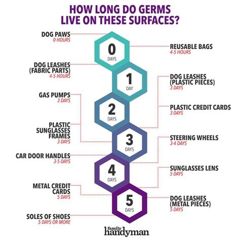 How long can bacteria live in a pool?