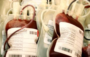 How long can blood stay alive?