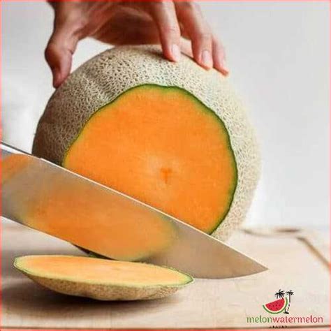 How long can cut melon stay out of the fridge?