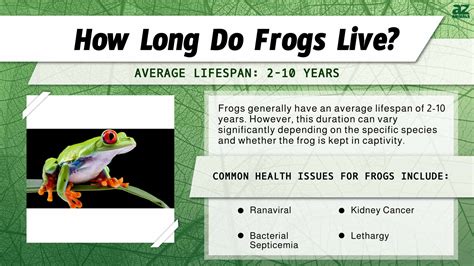 How long can frogs live for?