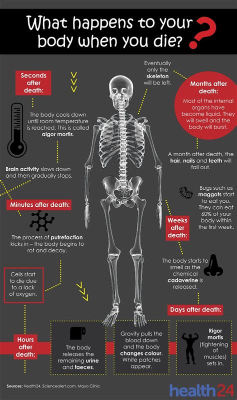 How long can human body live after death?