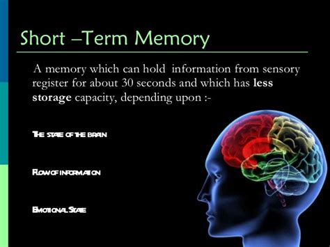 How long can humans hold memories?