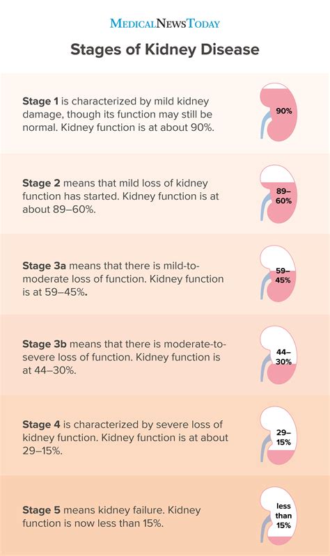 How long can it take to get from stage 4 kidney disease to stage 5?