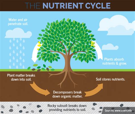 How long can nutrient water sit?